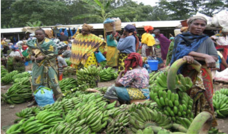 Grand Market