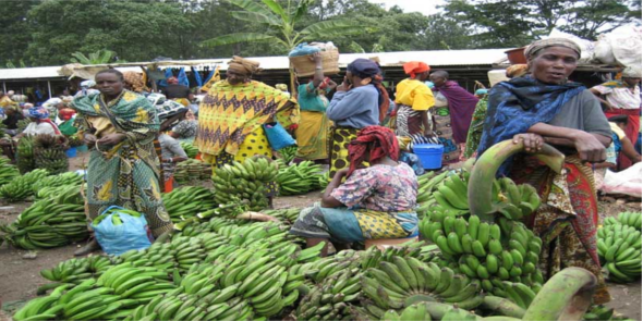 The Grand Market